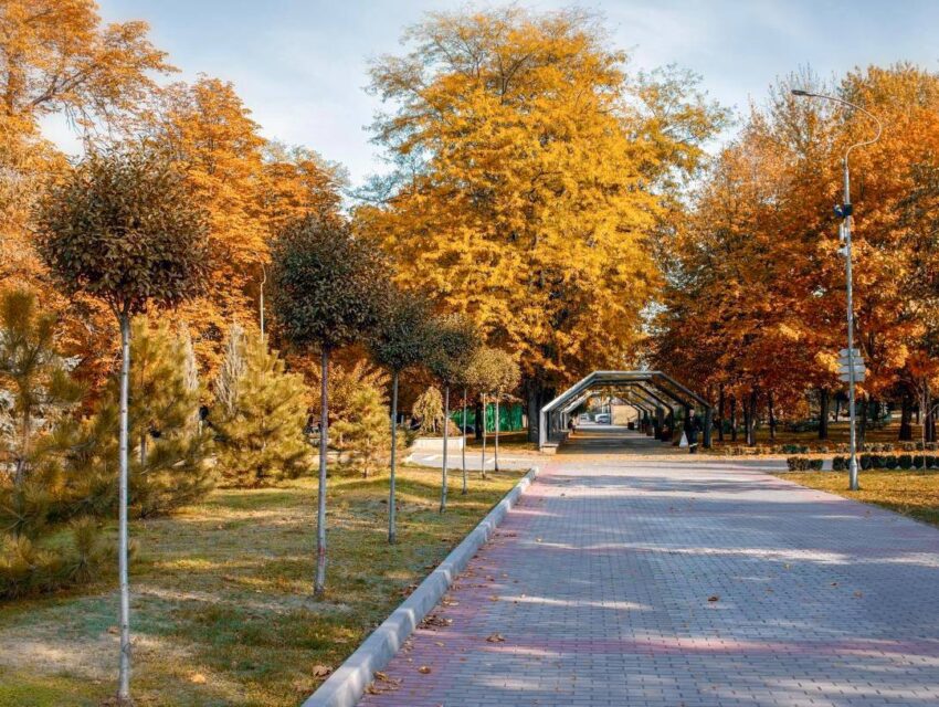 Ніч в Кам’янському минула спокійно