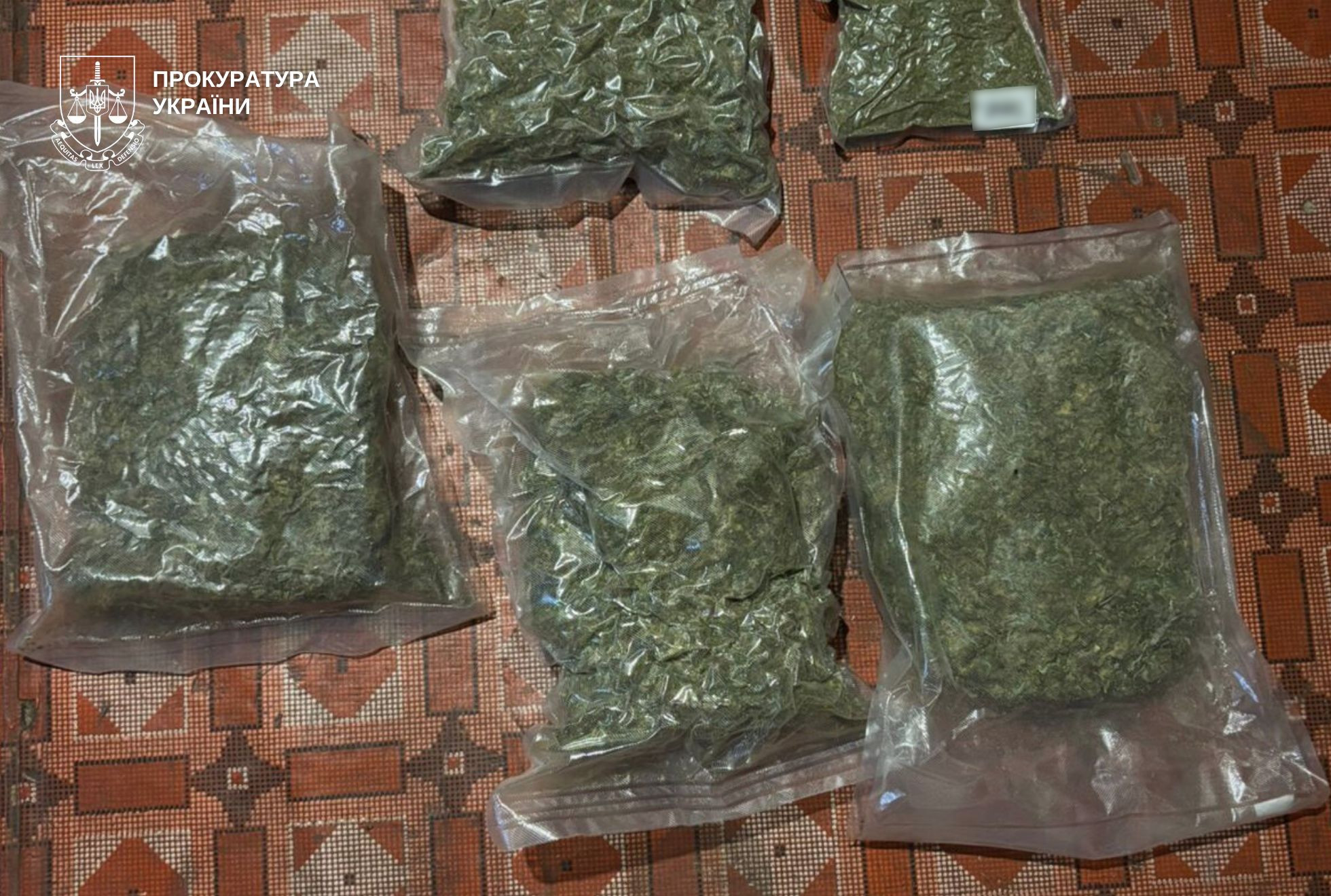 Мешканця Кам’янського району, у якого виявлено канабісу на майже 2 млн грн, судитимуть - ФОТО