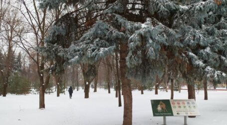 Ніч в Кам’янському минула без надзвичайних подій