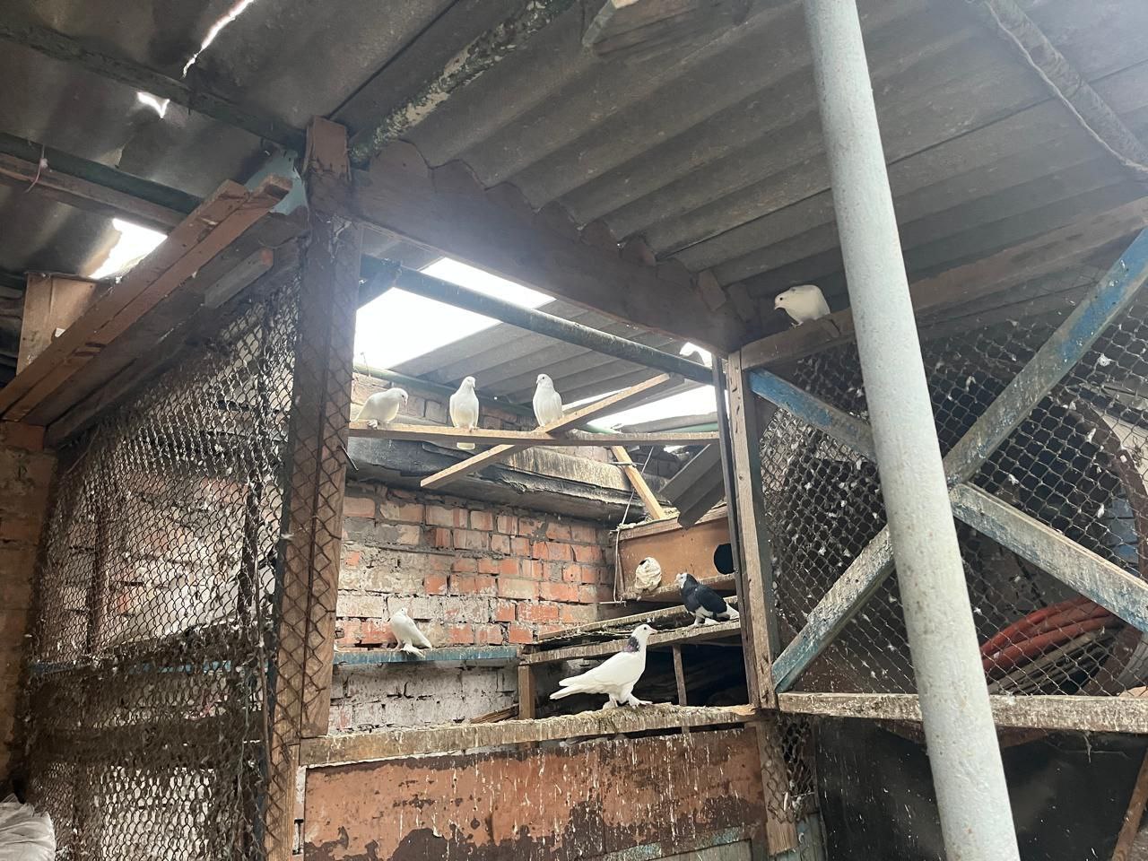 Вночі Дніпропетровщина була під масованою атакою БпЛА, в Кам'янському обійшлось без надзвичайних подій - ФОТО
