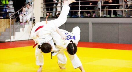 Дзюдоїсти з Кам`янського здобули нагороди на чемпіонаті Дніпропетровщини