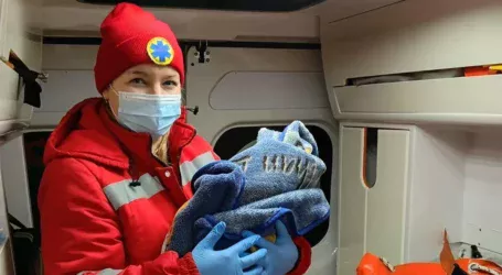 Пологи онлайн: в Кам’янському районі через ожеледицю швидка не змогла дістатись вчасно за викликом