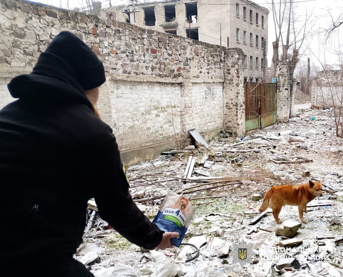 В Кам'янському поліційні зняли з даху «заброшки» юного рятувальника собак - ФОТО