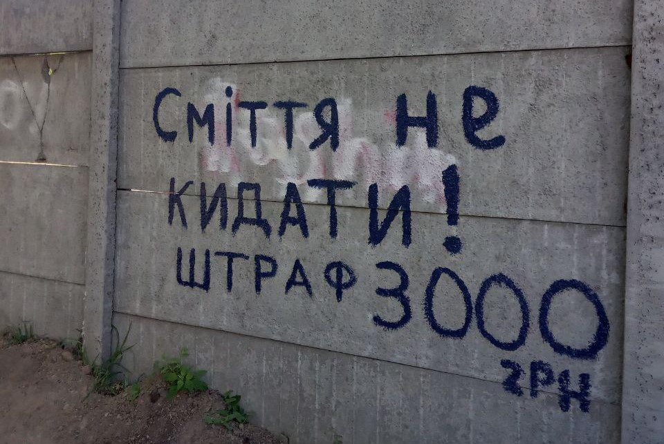 Мешканці Кам'янського вийшли на толоки - ФОТО