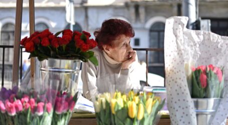 Де в Кам’янському працюватимуть ярмарки з продажу живих квітів
