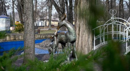 Ніч в Кам’янському минула спокійно