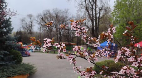 Ніч в Кам’янському минула спокійно