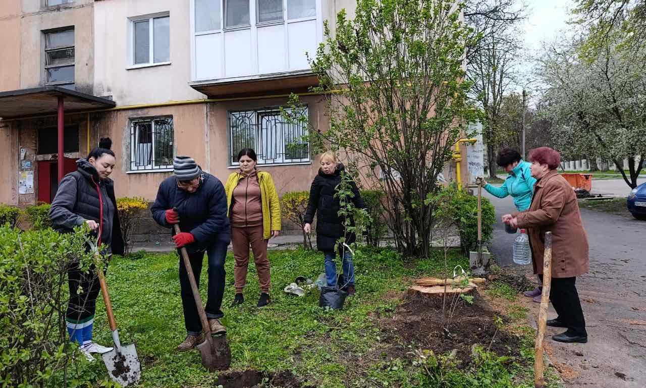 В Кам'янському органи самоорганізації населення продовжують активно долучатись до благоустрою - ФОТО