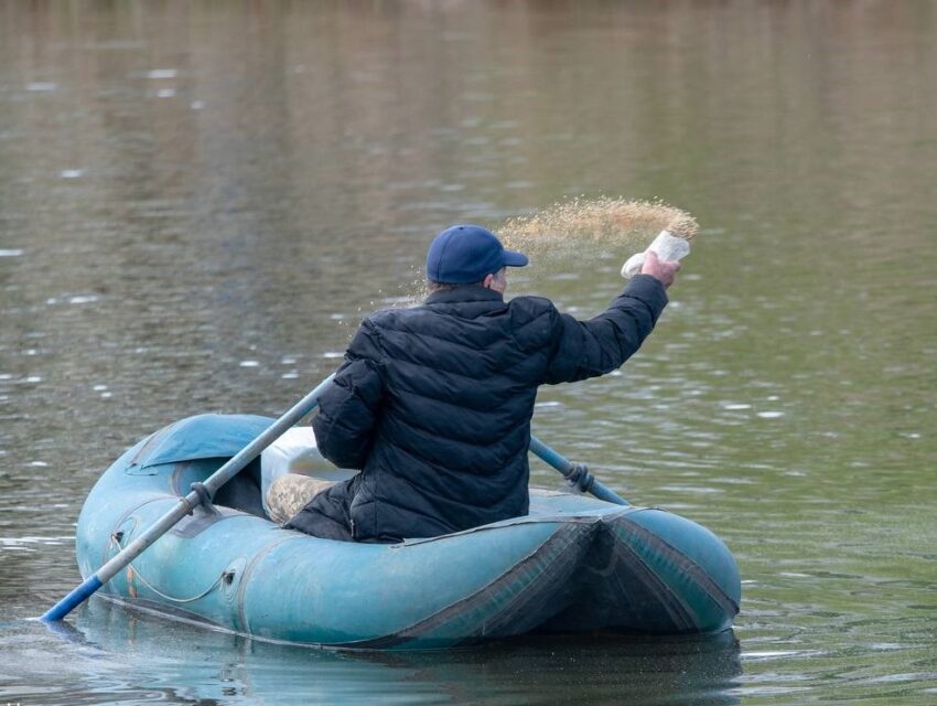 В Кам’янському відбулась екологічна акція з очищування води на БАМівському ставку