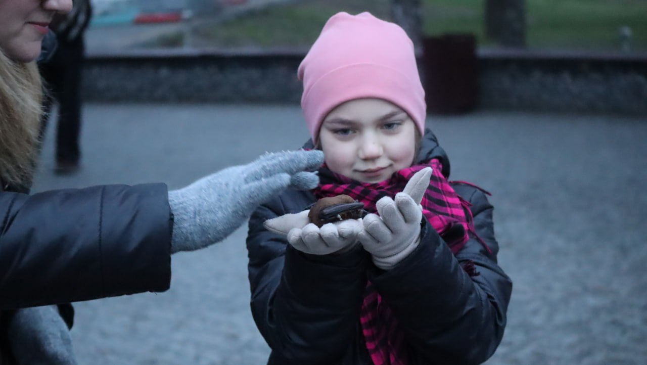 В Кам’янському випускали на волю врятованих кажанів - ФОТО