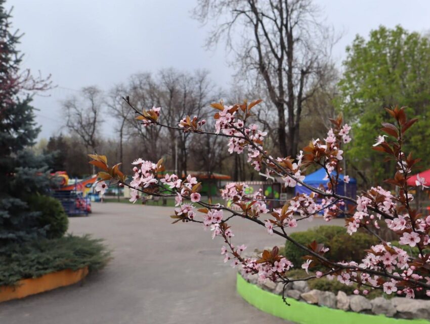 Ніч в Кам’янському минула спокійно