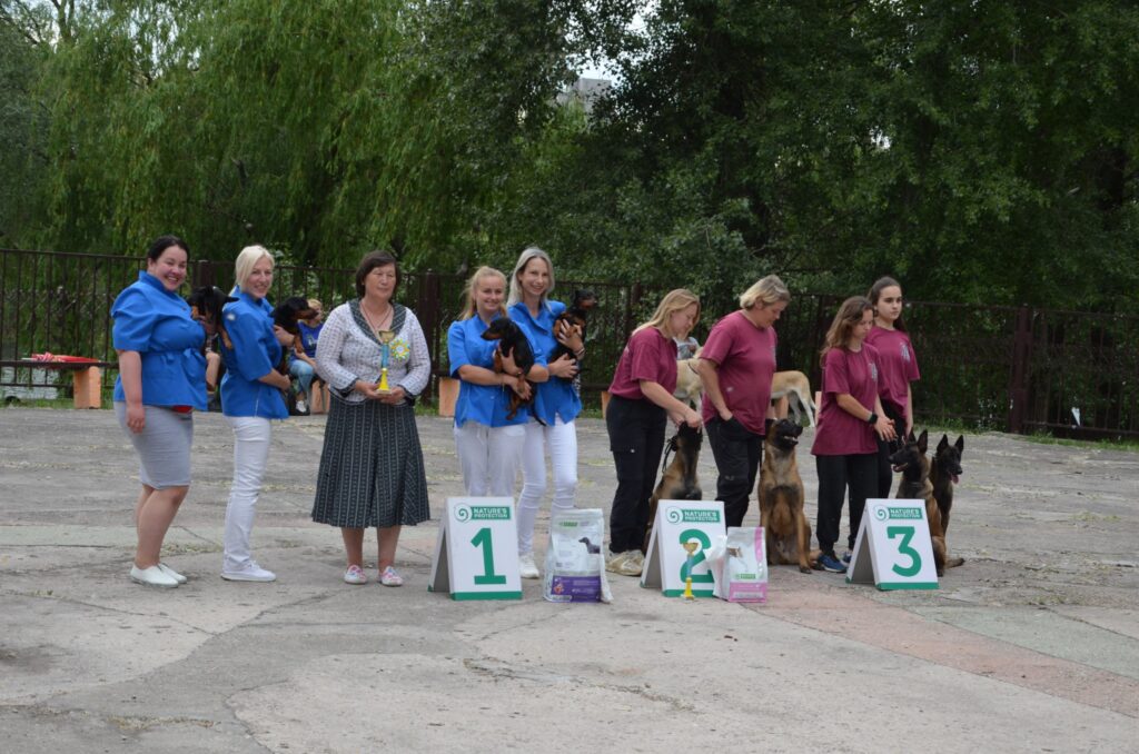 Випробування спекою та бурею: як у Кам’янському проходила всеукраїнська виставка собак (Фоторепортаж) - ФОТО