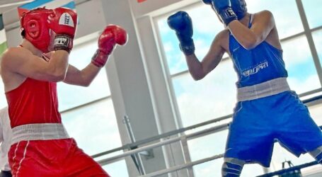 Кам’янчани стали призерами чемпіонату Дніпропетровщини з боксу