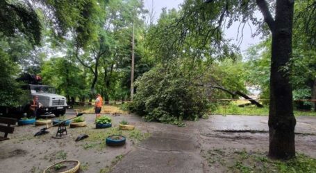 У Кам’янському комунальники прибирають повалені дерева після негоди