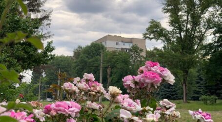 Вночі ворог масовано атакував Дніпропетровщину БпЛА, в Кам’янському минулось без надзвичайних подій