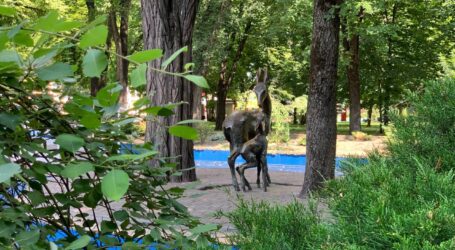 Як минула ніч на Дніпропетровщині та в Кам’янському