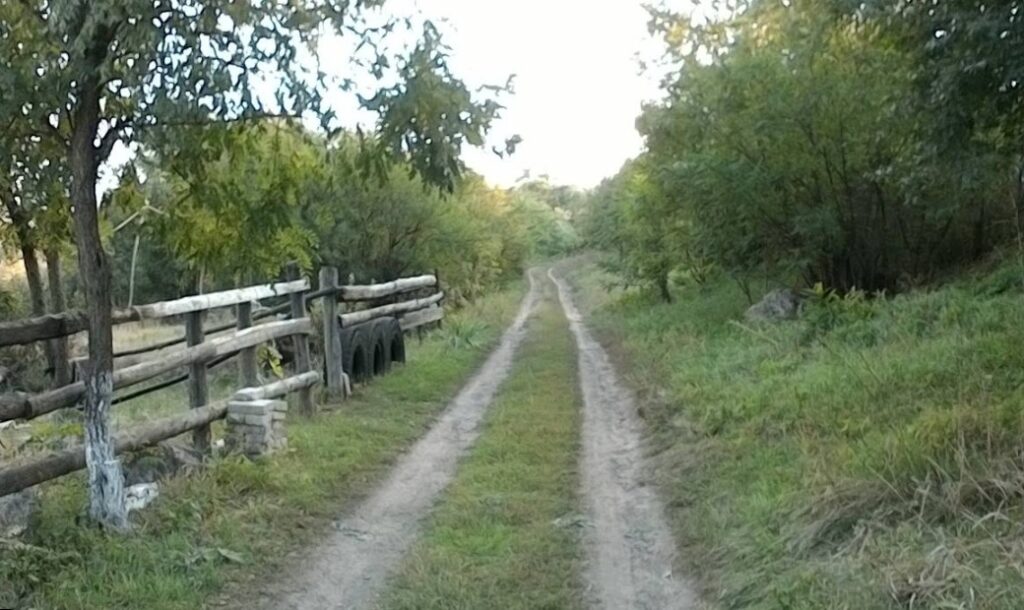 Зневоднення спустошує села в Кам’янському районі - ФОТО