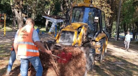 Комунальники Кам’янського прозвітували про роботи, що здійснюють на цьому тижні