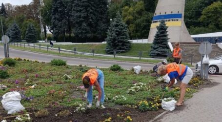 В Кам’янському тривають роботи з благоустрою