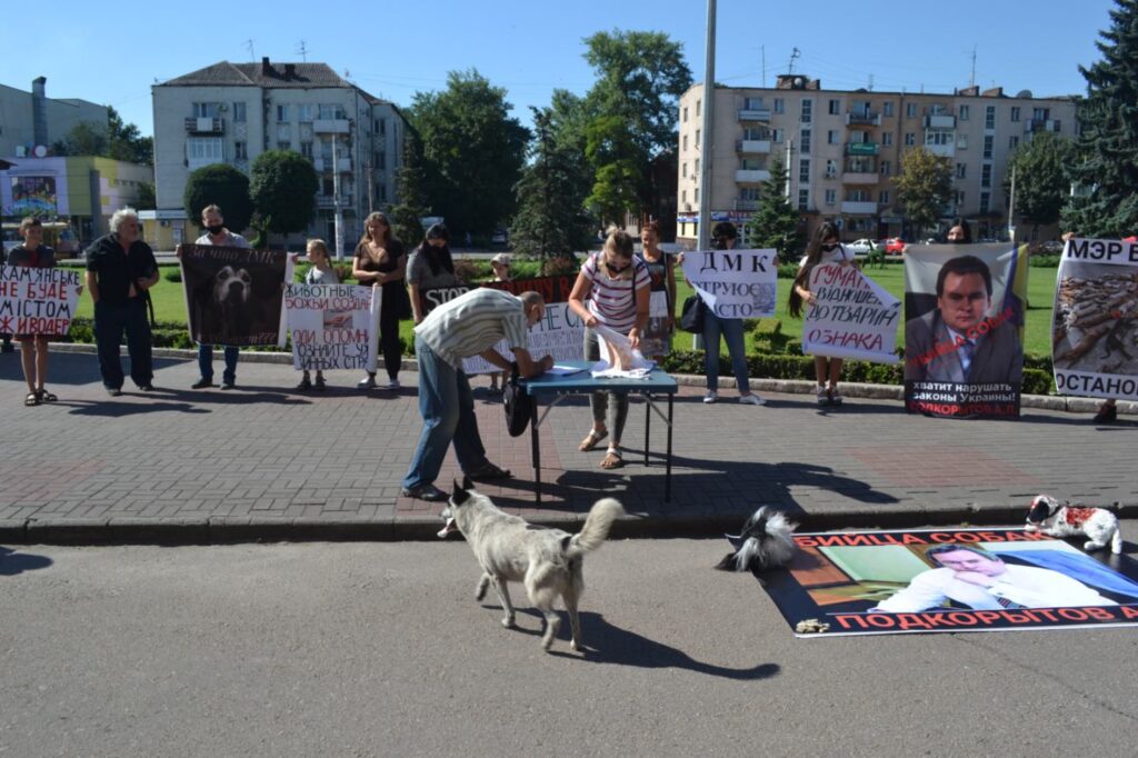 Пес Движняк завжди з народом: волохатий довгожитель, що став невіддільною частиною центру Кам’янського - ФОТО