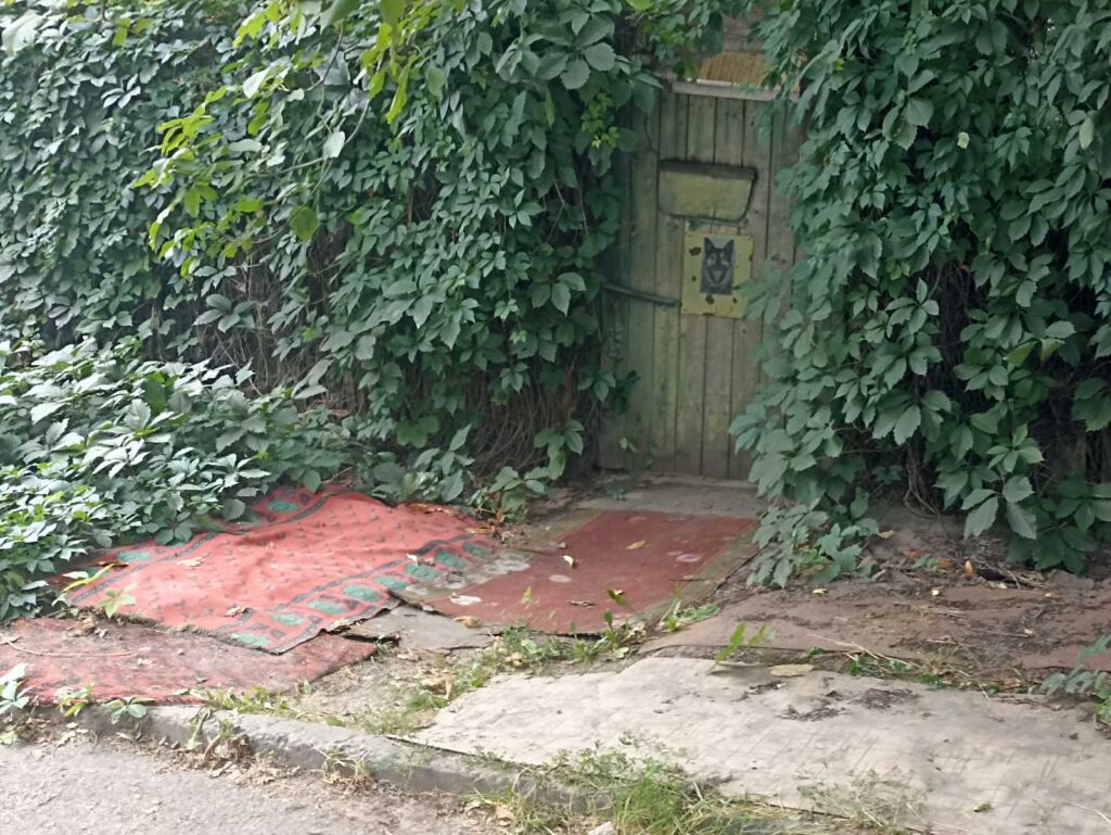 Двори «Алтайського краю» в Кам’янському стають проїжджими (ВІДЕО) - ФОТО