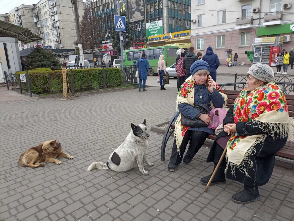 Пес Движняк завжди з народом: волохатий довгожитель, що став невіддільною частиною центру Кам’янського - ФОТО
