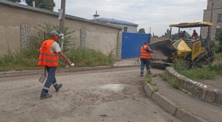 Двори «Алтайського краю» в Кам’янському стають проїжджими (ВІДЕО)