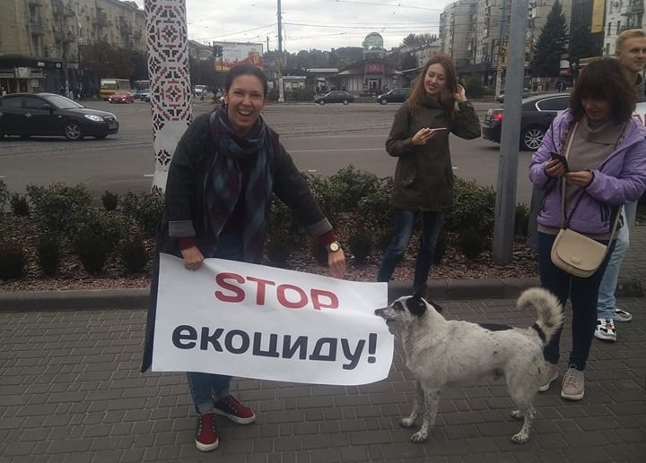 Пес Движняк завжди з народом: волохатий довгожитель, що став невіддільною частиною центру Кам’янського - ФОТО