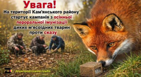 Не чіпайте принади з вакциною: на території Кам’янського району стартувала кампанія з імунізації диких м’ясоїдних тварин проти сказу